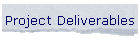 Project Deliverables