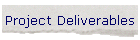 Project Deliverables