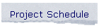 Project Schedule
