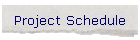 Project Schedule