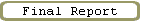 Final Report
