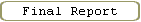 Final Report