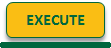 execute